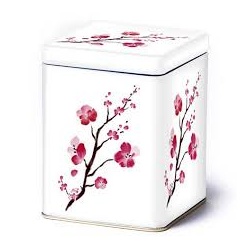 Cutie Cherry Blossom 